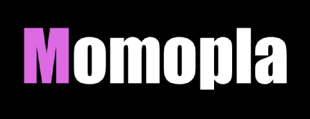 geminiguide.jp